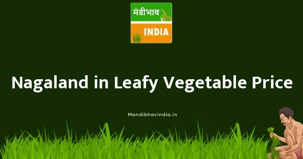 Leafy Vegetable भाव